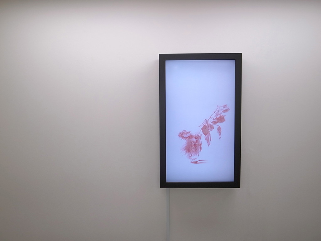 展示風景　Courtesy Gallery Koyanagi