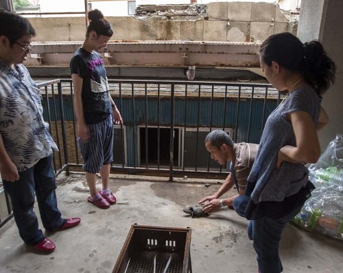 交換したペットの亀を世話する参加者ら